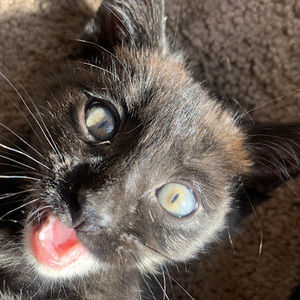 Meet your Posher, Karina